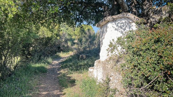 A scenic path lined with greenery leads to a white stone structure nestled in the lush landscape of Valtesiniko, Arcadia, Greece.