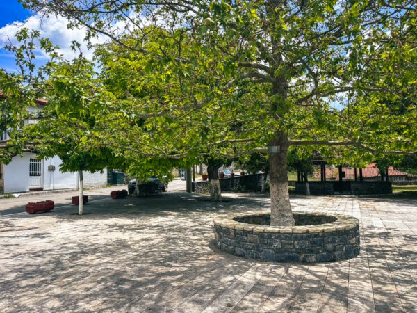 A scenic square in Nymfasia, Arcadia, Greece, featuring a large tree and a stone circular planter amidst a sunlit plaza.
