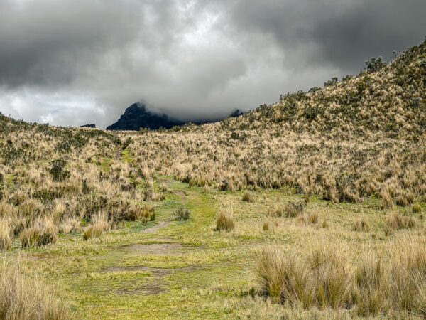 Lush grassland trails weave through golden-brown fields under cloudy skies near Ruminahui Volcano in Ecuador.