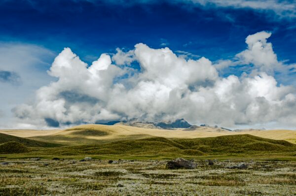 Vibrant green fields and rolling hills under a dramatic cloud-filled sky at Cotopaxi National Park, Ecuador.