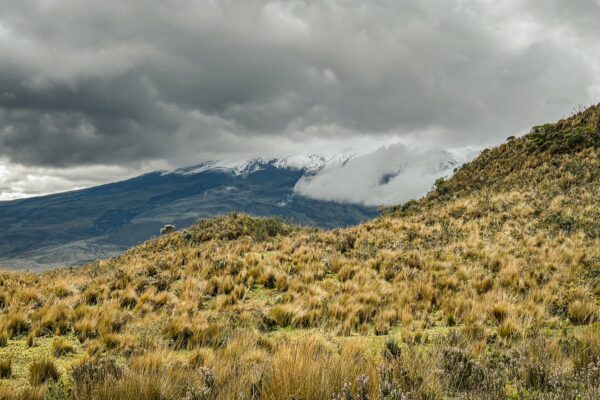 Majestic volcanic peaks rise beneath a dramatic sky, surrounded by lush, golden grasslands near Rumiñahui, Ecuador.