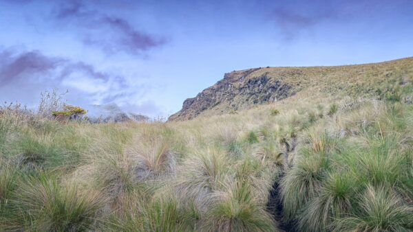 Vast grassy slopes lead to the Imbabura Volcano under a clear sky in Ecuador, showcasing the region's natural beauty.