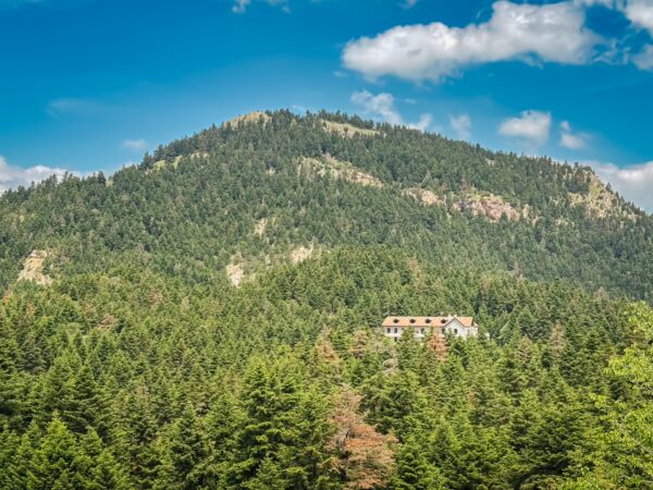 Vibrant green forests surround a secluded building at the foot of a mountain in Valtesiniko, Arcadia, Greece, under a blue sky.