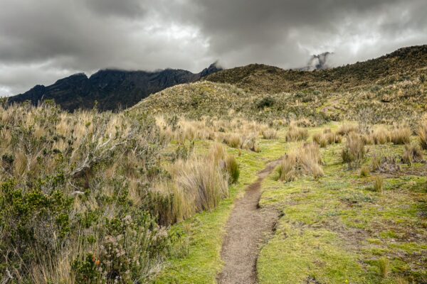 Winding trail through grassy terrain leads to volcanic hills under a moody sky in Ruminahui, Ecuador.