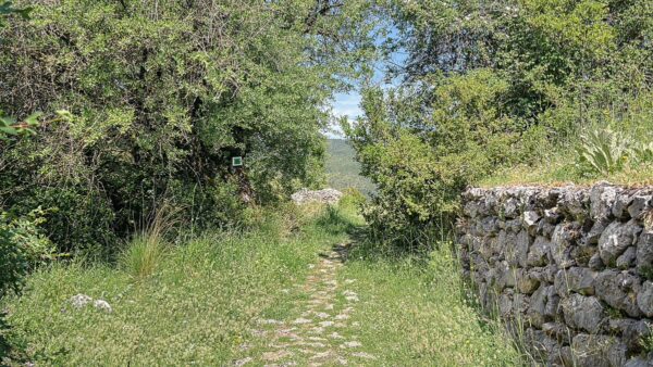 Lush greenery frames a stone pathway leading through Vytina, showcasing the natural beauty of Nymfasia in Arcadia, Greece.