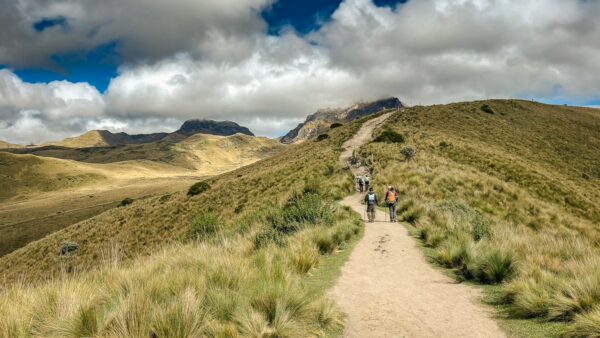 Hikers traverse a winding trail surrounded by lush grasses and rolling hills at Pichincha Volcano, Ecuador.