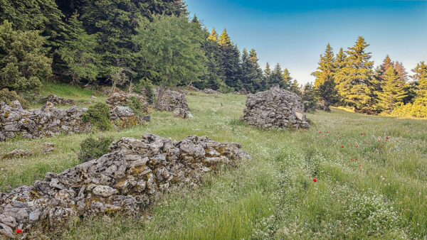 Ancient stone ruins dot the lush green landscape of Valtesiniko, surrounded by tall trees in Arcadia, Greece.