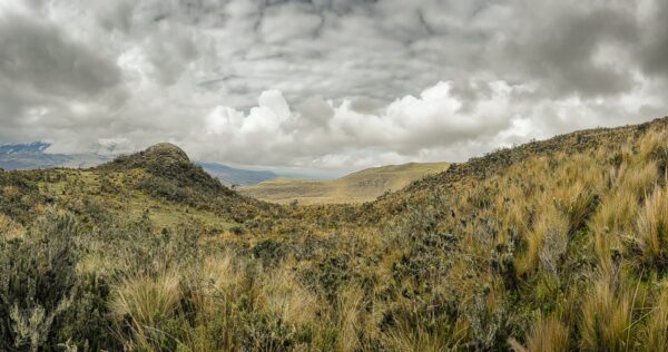Lush, green valleys and rolling hills under a cloudy sky at Volcán Rumiñahui in Ecuador, showcasing diverse plant life.