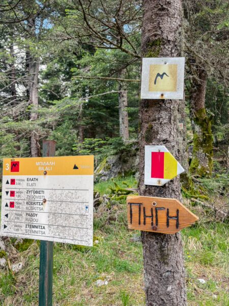 Trail signs guide visitors through lush forested paths in Elati, Menalon, Arcadia, Greece, highlighting nature's beauty.