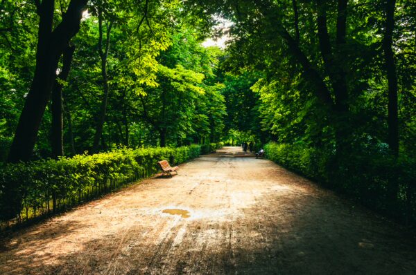 Lush greenery lines the walkway at Parque del Retiro, Madrid, Spain, creating a serene atmosphere for leisurely strolls.