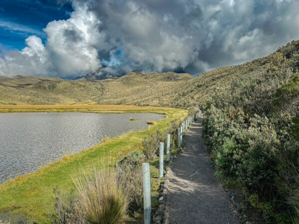 Lush greenery lines the pathway next to the tranquil waters of Laguna de Limpiopungo in Cotopaxi National Park, Ecuador.