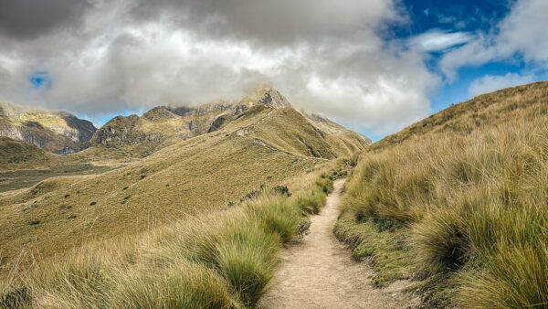 Breezy trail winding through golden grasslands leading to the rugged Pichincha Volcano in Ecuador under a cloudy sky.