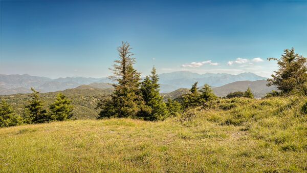 Vibrant green hills with scattered trees under a clear blue sky in Lagadia, Arcadia, Greece, showcasing scenic mountain views.