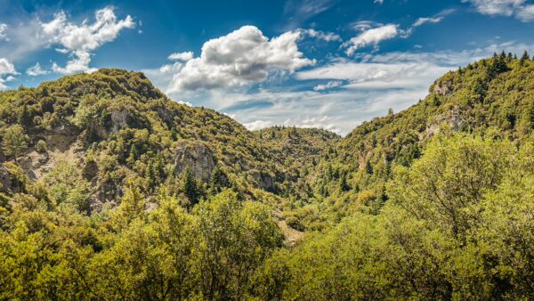 Lush greenery covers the rolling hills of Vytina, framed by a bright blue sky with fluffy clouds in Arcadia, Greece.