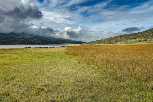 Laguna de Limpiopungo showcases vibrant green and golden grasses under a dramatic sky at Cotopaxi National Park, Ecuador.