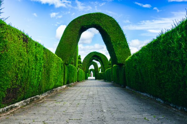 Lush green hedges form archways along a stone path leading to a serene statue at Tulcán Cemetery, Ecuador, under a bright blue sky.