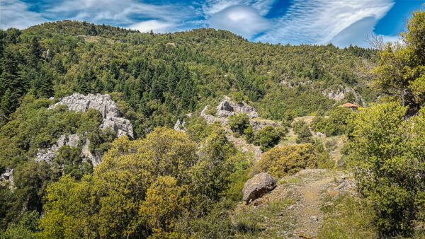 Lush green hills with rocky outcrops and scattered trees in the serene landscape of Vytina, Nymfasia, Arcadia, Greece.