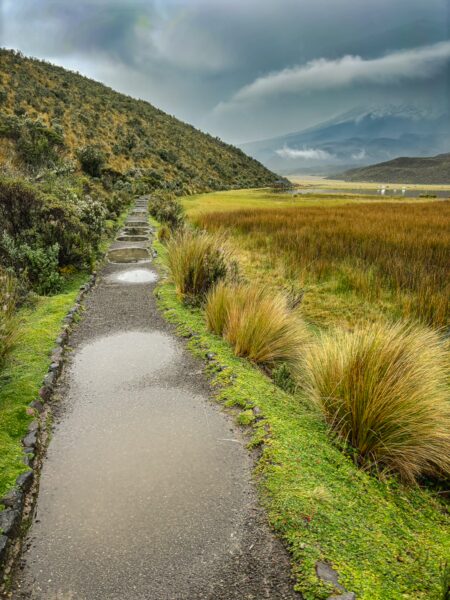 Lush green and golden grasses line a winding path through Cotopaxi National Park, with mountains shrouded in clouds above.