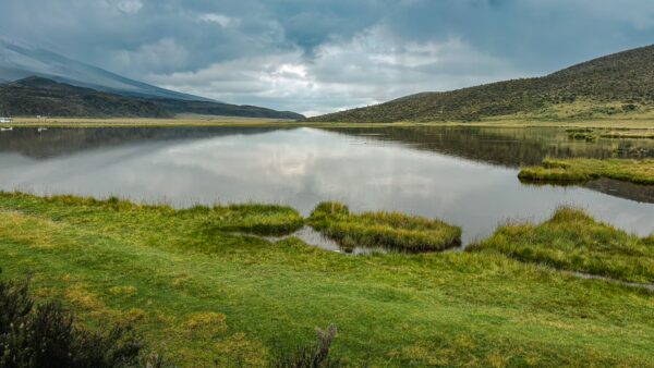 Tranquil lagoon reflecting the sky, surrounded by lush greenery and rugged hills in Cotopaxi National Park, Ecuador.