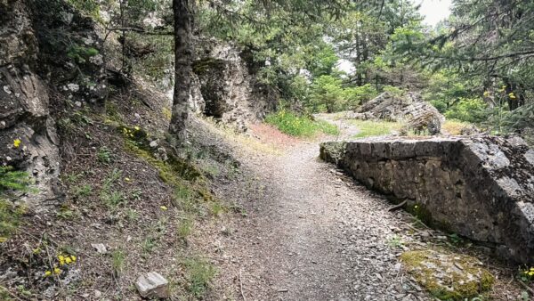 Scenic path lined with lush greenery and rocky outcrops in Magouliana, leading to Valtesiniko in Arcadia, Greece.