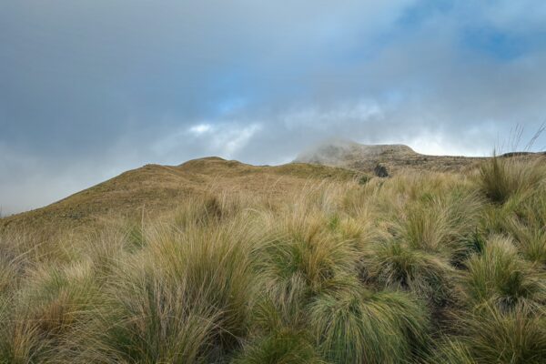 Rolling grasses and low clouds envelop the rugged terrain of Imbabura Volcano in Ecuador, creating a serene and natural landscape.