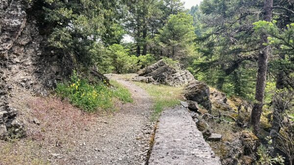 Serene hiking trail through lush greenery and rocky terrain in Magouliana, Valtesiniko, Arcadia, Greece.