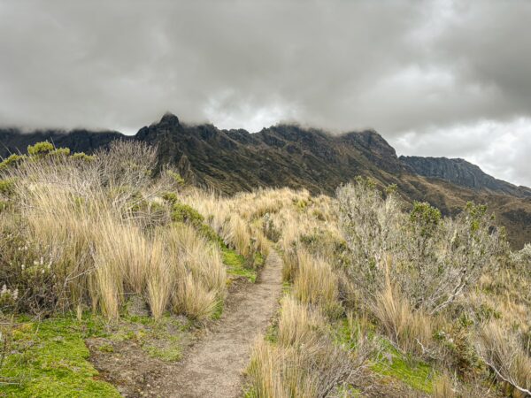 Lush grasses and shrubs line a winding trail leading towards the misty slopes of Raminahui in Ecuador, under a cloudy sky.