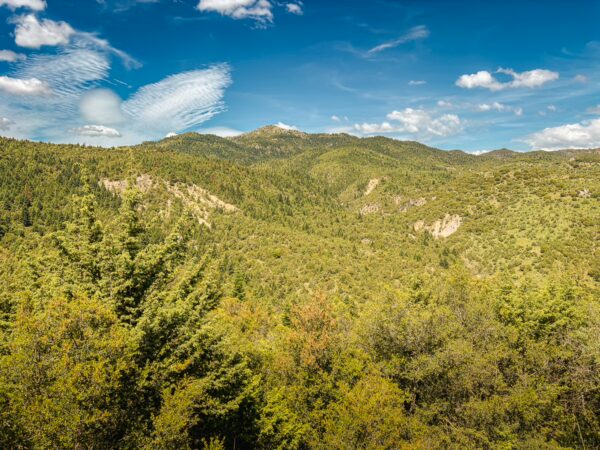 Lush green hills and valleys under a bright blue sky near Vytina, surrounded by the natural beauty of Arcadia, Greece.