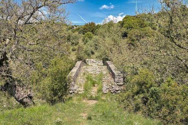 Ancient stone bridge nestled among lush greenery in Vytina, Arcadia, showcasing the area's natural beauty.