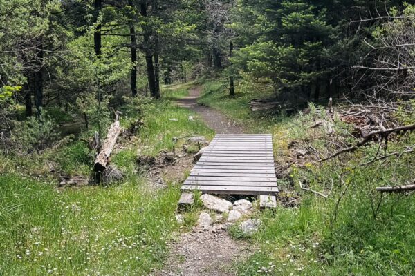Wooden footbridge over a small stream surrounded by lush greenery and trees in Magouliana to Valtesiniko, Arcadia, Greece.