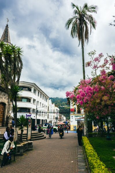 Colorful flowers bloom alongside palm trees in Parque Pedro Moncayo, Ibarra, Ecuador, creating a vibrant streetscape under cloudy skies.