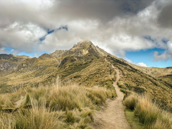Majestic Pichincha Volcano rises against a backdrop of dramatic clouds, with a winding path weaving through golden grass.
