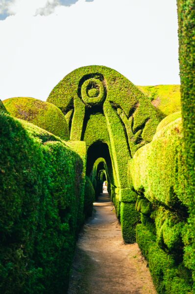Lush green hedges create a whimsical maze at Tulcán Cemetery in Ecuador, leading visitors through intricate topiary designs.
