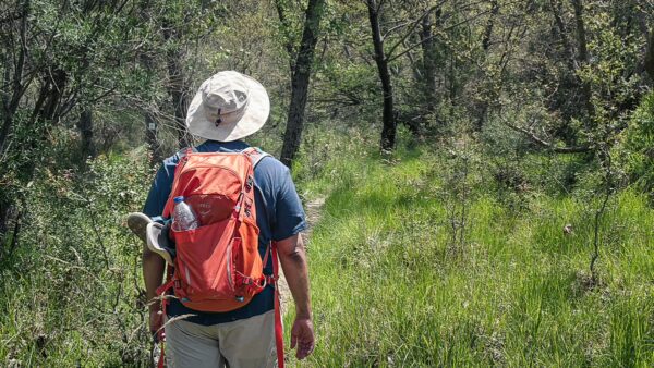 Hiker with an orange backpack walking through lush green foliage in Vytina, Nymfasia, Arcadia, Greece. Sunlight filters through trees.