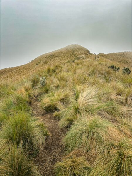 Fog envelops grassy slopes leading to Imbabura Volcano, creating a serene, otherworldly landscape in Ecuador.