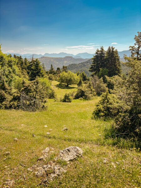 Lush greenery and rolling hills create a picturesque landscape in Valtesiniko, Lagadia, Arcadia, Greece.