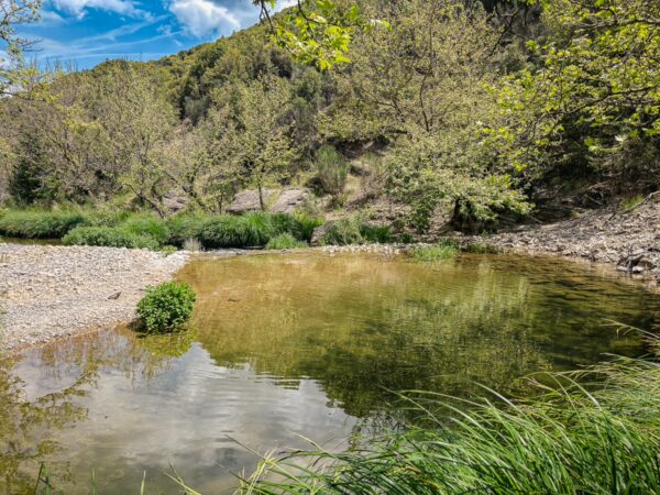 Serene natural pond reflecting blue skies, surrounded by vibrant greenery and rocky terrain in Vytina to Nymfasia, Arcadia, Greece.