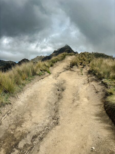Rocky path leading upward through lush grassland against a moody sky at Pichincha Volcano in Ecuador.