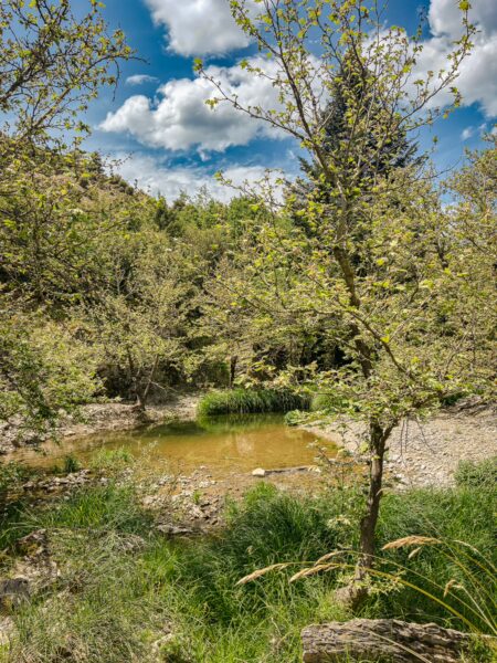 Vibrant green foliage and a peaceful stream reflect the natural beauty of Vytina in Nymfasia, Arcadia, Greece.