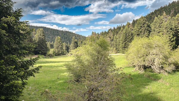 Lush green meadows and dense forests under a blue sky with clouds in Zygovisti, Elati Menalon, Arcadia, Greece.