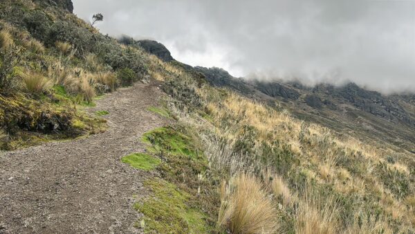 A winding trail leads through lush grass and sparse shrubs towards the misty slopes of Volcán Ruminahui in Ecuador.