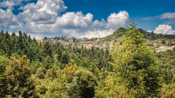 Lush green trees frame the scenic village of Valtesiniko nestled in the Arcadia mountains under a bright blue sky.