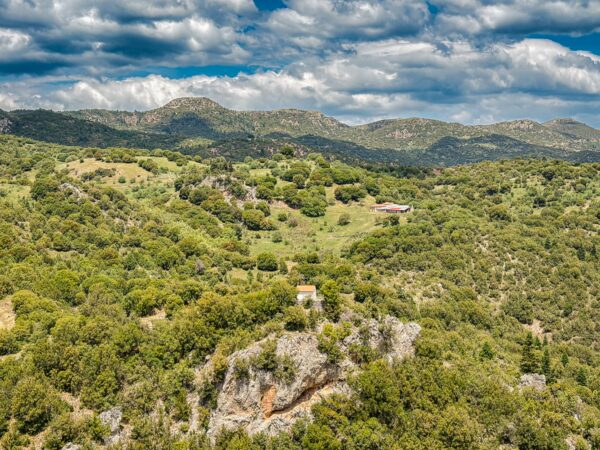 Lush greenery blankets the hills of Arcadia, Greece, under a dramatic sky, showcasing the natural beauty of Vytina to Nymfasia.
