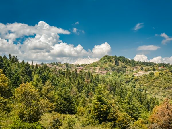 Lush green hills and vibrant trees under a bright blue sky surround the remote village of Valtesiniko in Arcadia, Greece.
