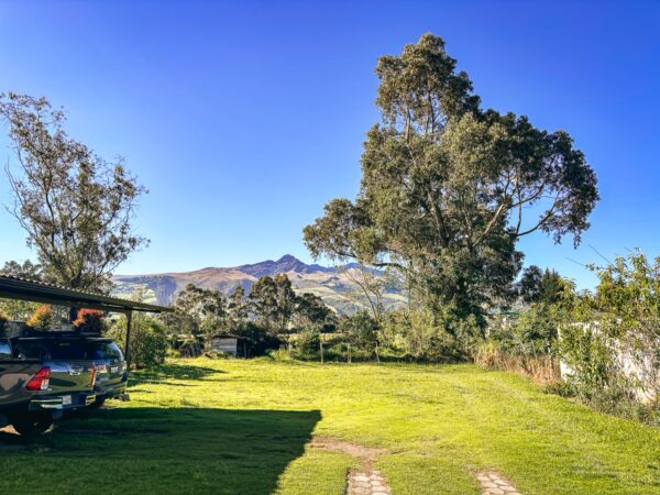 Vibrant green grass and tall eucalyptus trees surround a pickup truck, with majestic mountains visible in the background near Machachi, Ecuador.