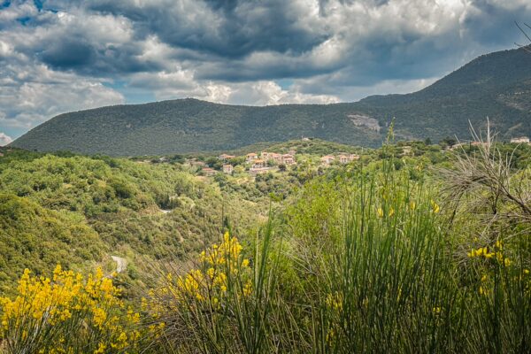 Lush green hills and vibrant yellow flowers frame the scenic village of Nymfasia in Arcadia, Greece, under a dramatic sky.