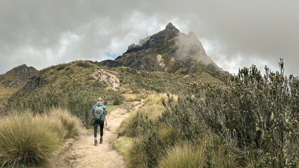 Hiker navigating a winding trail surrounded by green vegetation, leading to the mist-covered peak of Pichincha Volcano, Ecuador.
