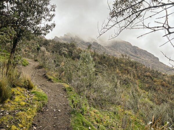 Cloudy trail leading towards the volcanic slopes of Raminahui, surrounded by lush vegetation in Ecuador.