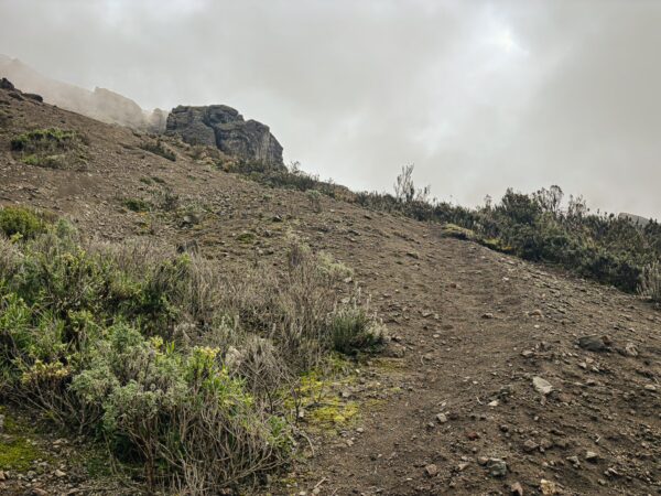 Rugged terrain covered with shrubs and rocky outcrops near Volcán Ruminahui in Ecuador, shrouded in mist.