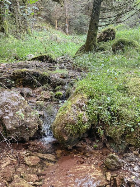 Crystal-clear water flows over rocks and lush greenery in Zygovisti, near Elati Menalon, Arcadia, Greece.